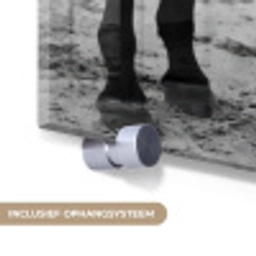 Paard - Auto - Zwart - Wit plexiglas 5mm klein -zzsysteem_NL