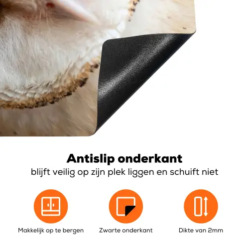Uil - Bruin - Wit Inductie beschermer vinyl 3mm klein -zzzzzzz-td-onderkant