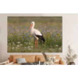 Ooienvaar - Bloemen - Weide - Kleurrijk forex 5mm xxl -bovenbank