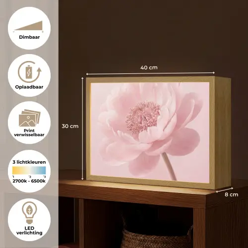 Bloem - Pioenroos - Roze Light Box met batterij (Wandlamp) middel -USP_websiteoverzichtNL