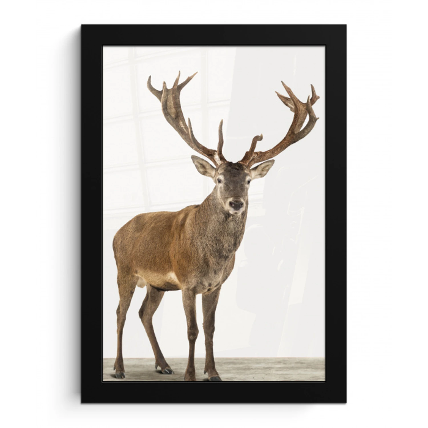 Hert - Dieren - Gewei - Kinderen - Meisjes - Jongens fotolijst zwart zonder passe partout klein -3d