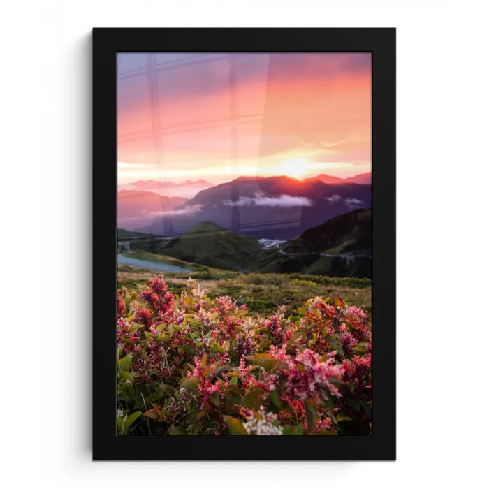 Bloemen - Bergen - Landschap - Nacht - Lucht - Roze fotolijst zwart zonder passe partout klein -3d