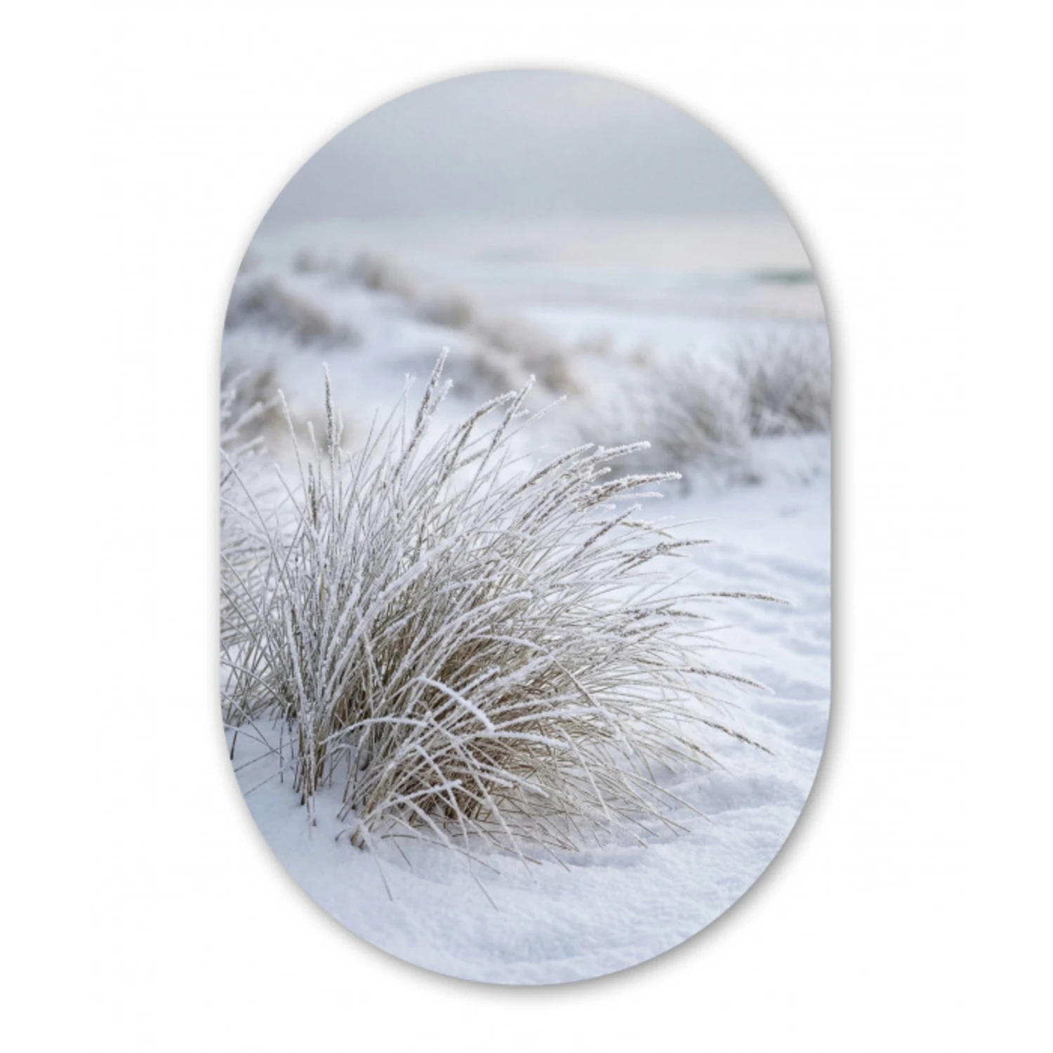 Duinen - Sneeuw - Strand - Winter - Serene Wandcirkel Ovaal Forex klein -3d
