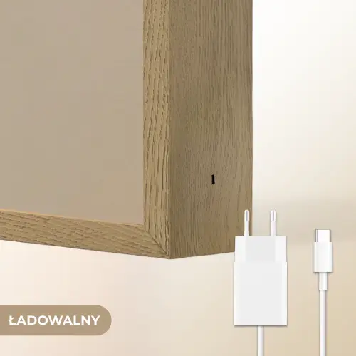 Leeuw - Oranje bloemen - Vriendelijk Light Box met batterij (Wandlamp kind) middel -USP_websiteoplaadbaarNL