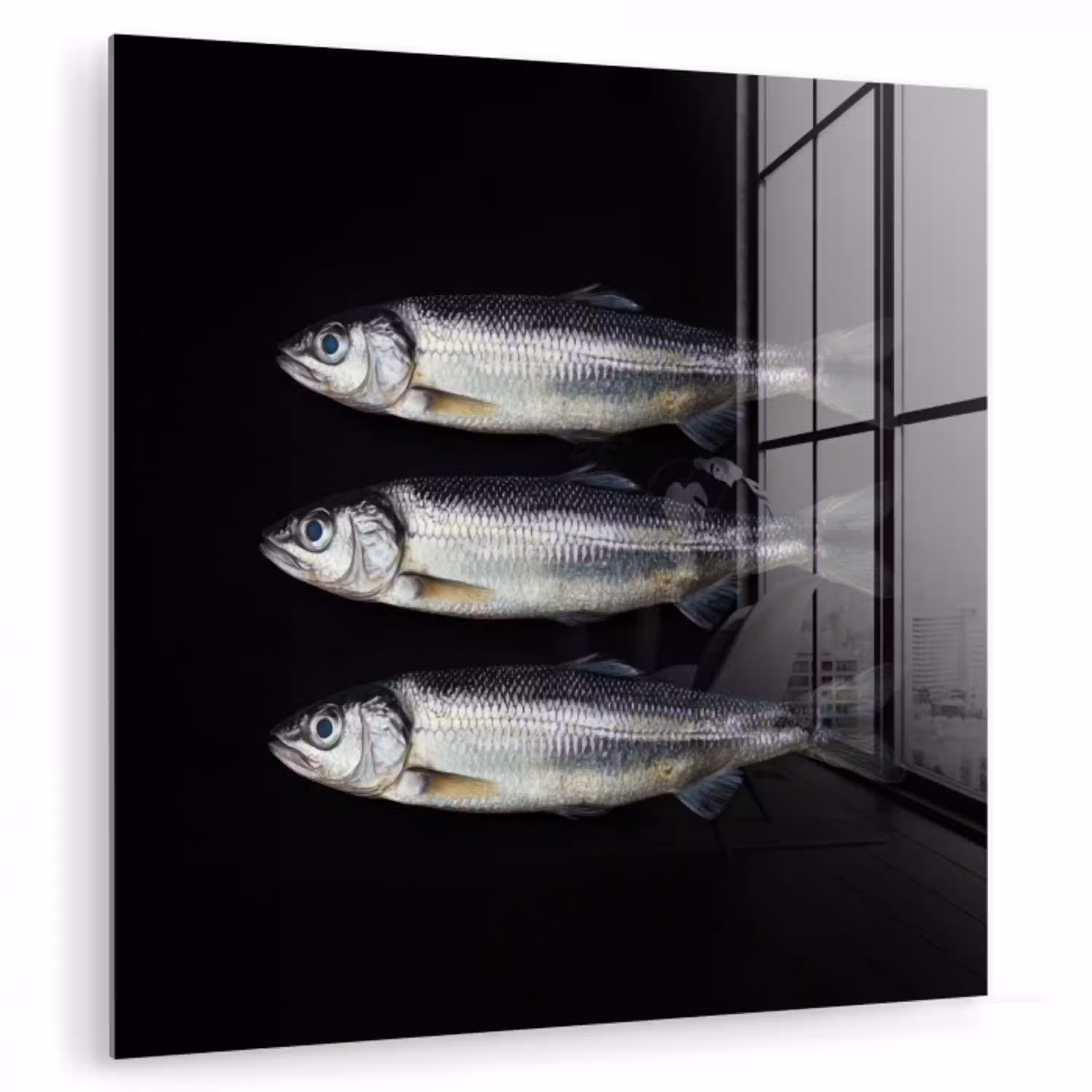 Haring - Vissen - Zwart plexiglas 5mm klein -zzzproduct_nieuw