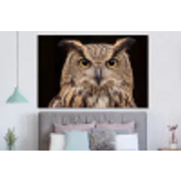 Oehoe - Uil - Portret - Bruin forex 5mm xxl -slaapkamer