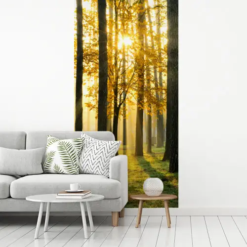 Bos - Zon - Bomen - gras - Landschap fotobehang vinyl groot -woonkamer