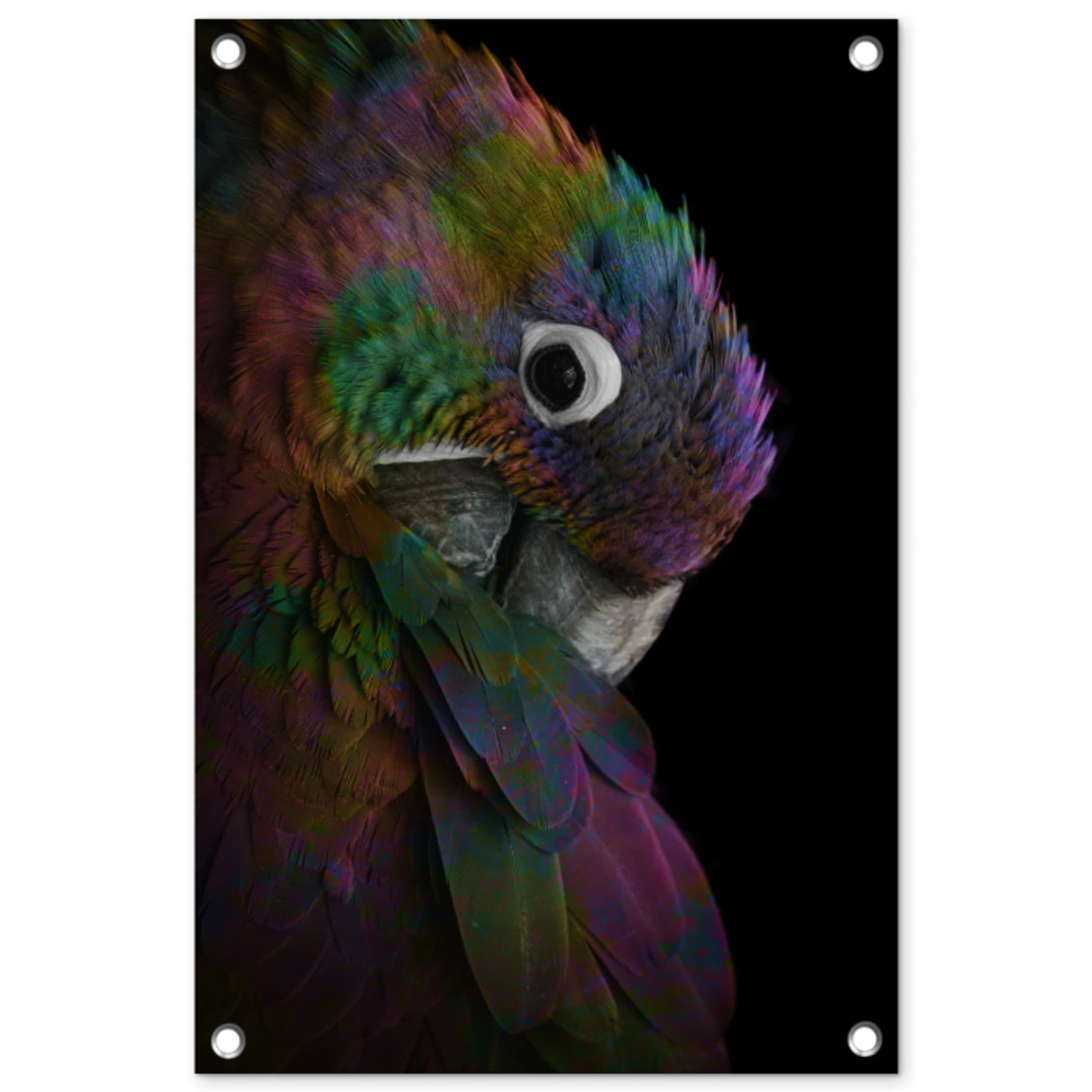 Papegaai - Vogel - Regenboog tuinposter los doek klein -3d