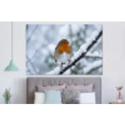 Roodborstje - Tak - Sneeuw - Winter - Levendig forex 5mm xxl -slaapkamer