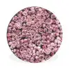 Bloemen - Rozen - Natuur - Roze - Botanisch Wandcirkel aluminium klein -3d