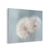 Paardenbloemen - Pluisjes - Wit PET vilt klein -3d