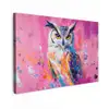 Uil - Roze - Blauw - Verf - Abstract Tuinposter op houten frame 2 cm dik klein -3d