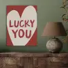Lucky - Hart - Rood PET vilt klein -sfeer2