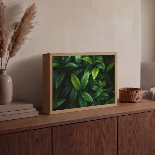 Bladeren - Regendruppels - Licht - Groen Light Box met batterij (Wandlamp) middel -sfeer2