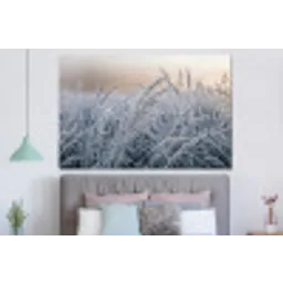 Rijp - Gras - Kristallen - Winter - Minimalistisch forex 5mm xxl -slaapkamer