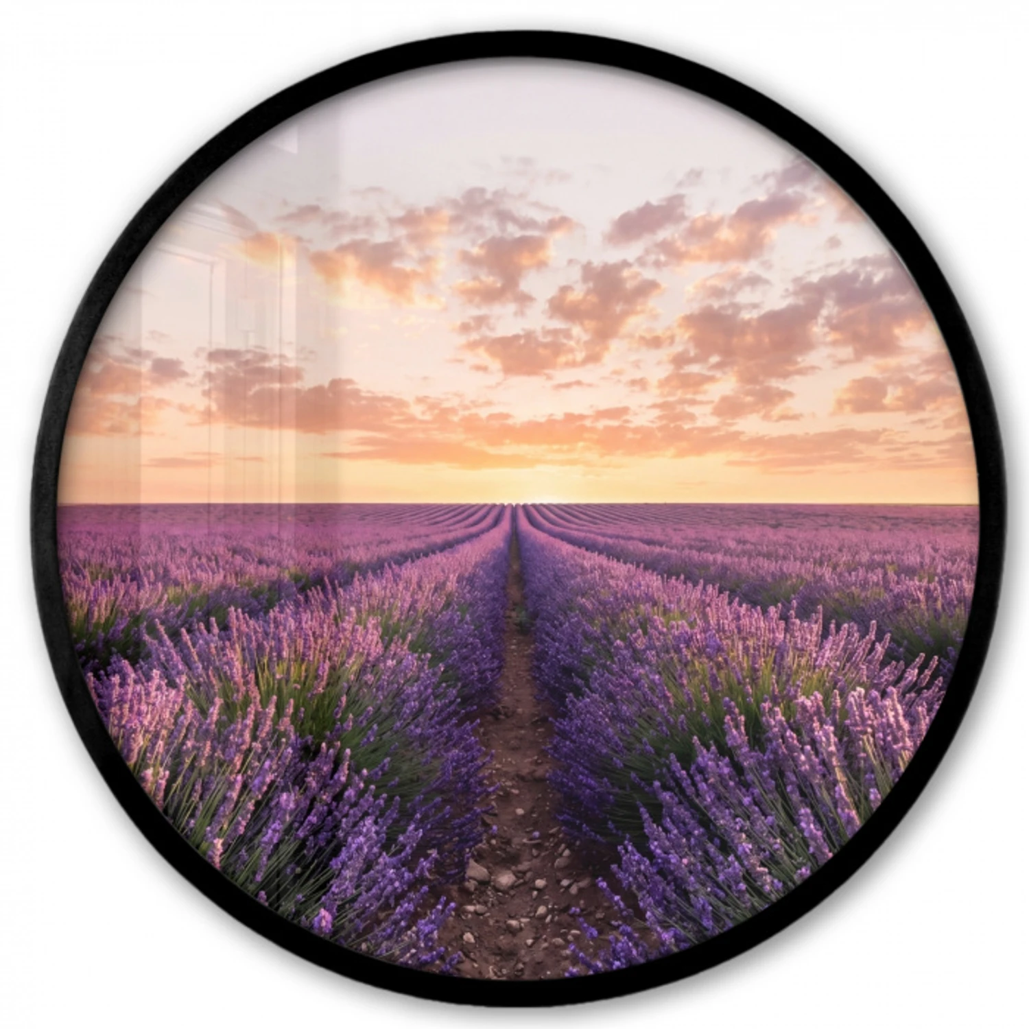 Landschap - Lavendelveld - Paars Fotolijst rond zonder passe partout klein -3d