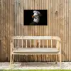 Arend -Amerika - Koksmuts - Vogel - Stoer Tuinposter op houten frame 2 cm dik klein -sfeer4
