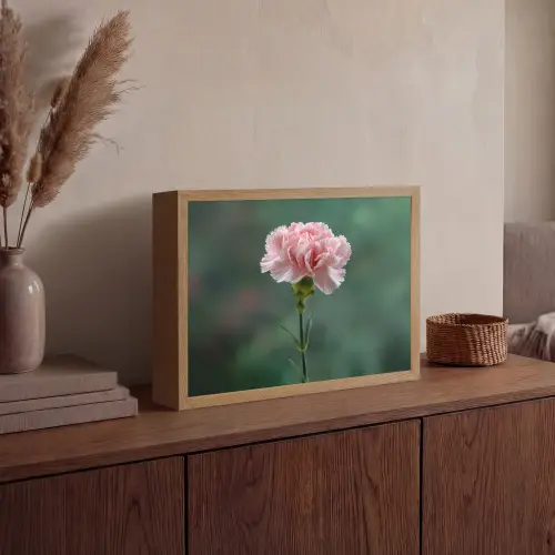 Anjer - Roze - Bloemblaadjes Light Box met batterij (Wandlamp) middel -sfeer2