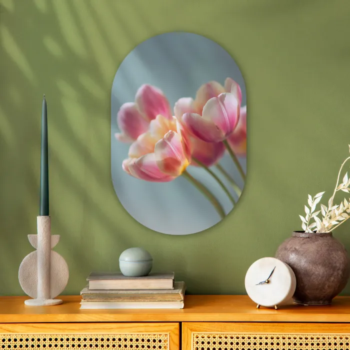 Tulpen - Roze - Stelen Wandcirkel Ovaal Forex klein -sfeer2