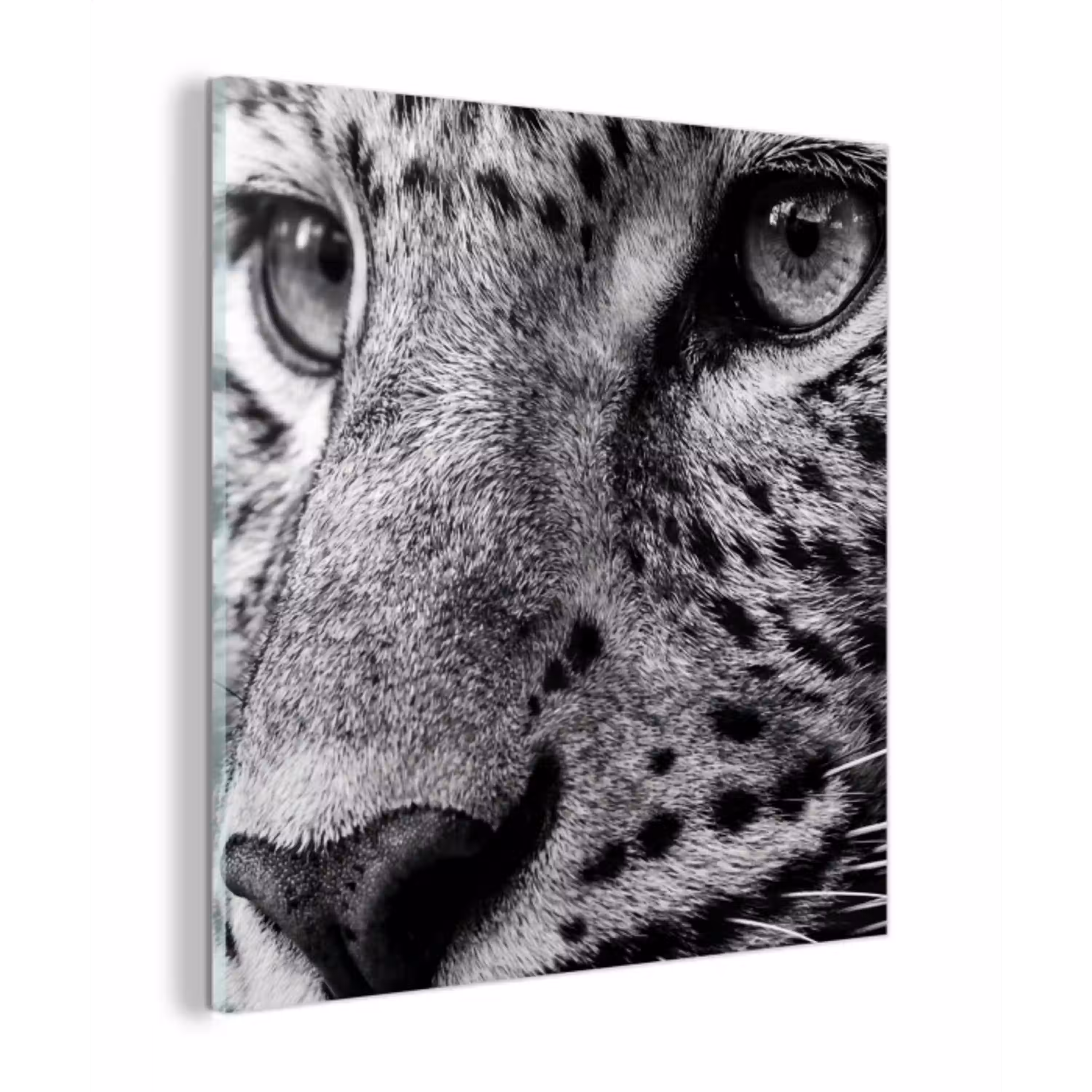 Luipaard - Zwart - Wit - Oog plexiglas 5mm klein -z3d