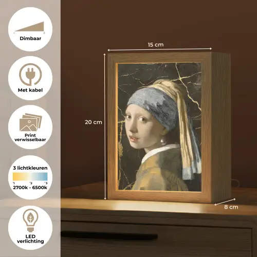 Meisje met de parel - Johannes Vermeer - Goud Light Box met kabel (Wandlamp) klein -USP_websiteoverzichtNL
