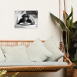 Aap - Spaghetti - Zonnebril - Zwart wit - Cool - Dier tuinposter los doek klein -sfeer7