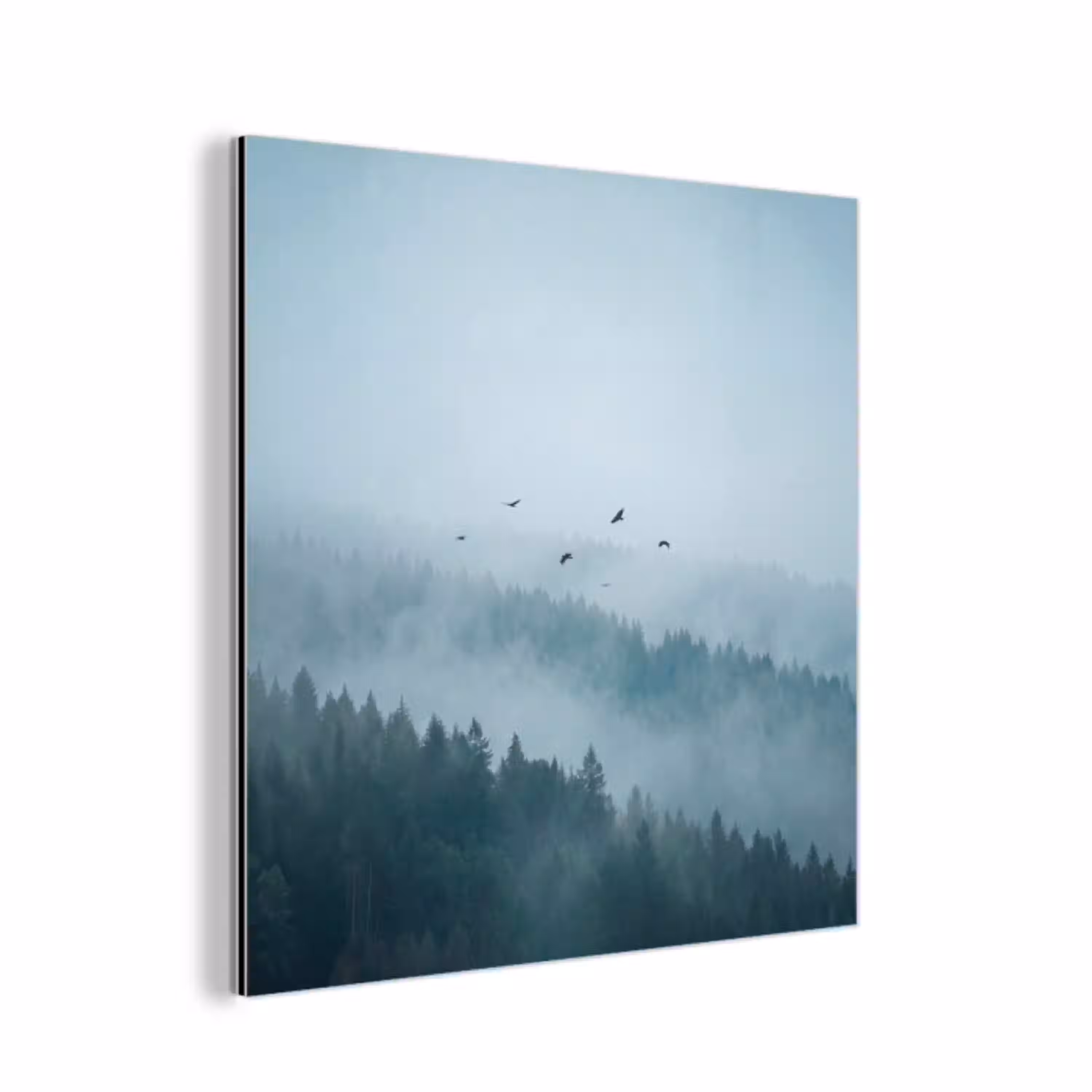Bos - Mist - Vogels - Natuur - Groen aluminium wit klein -3d