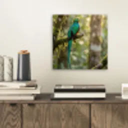Quetzal - Jungle - Natuur - Groen aluminium wit klein -sfeer1
