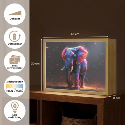 Olifant - Kleuren - Sterren - Dier Light Box met batterij (Wandlamp kind) middel -USP_websiteoverzichtNL