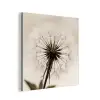 Paardenbloem - Minimalistisch - Wit aluminium wit klein -3d