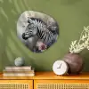 Zebra - Wilde dieren - Vlinder - Bloemen Wandcirkel Organisch Forex 3mm klein -sfeer2