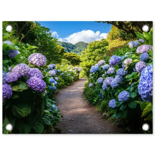Hortsensia - Pad - Bloemen tuinposter los doek klein -3d