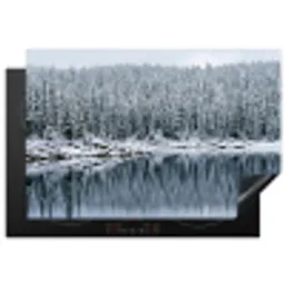 Bos - Reflectie - Meer - Winter - Serene Inductie beschermer vinyl 3mm klein -3d