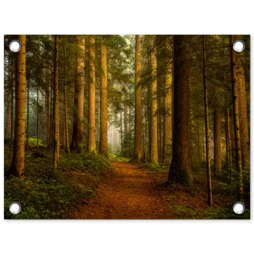 Bos - Natuur - Bomen - Landschap - Bladeren tuinposter los doek klein -3d