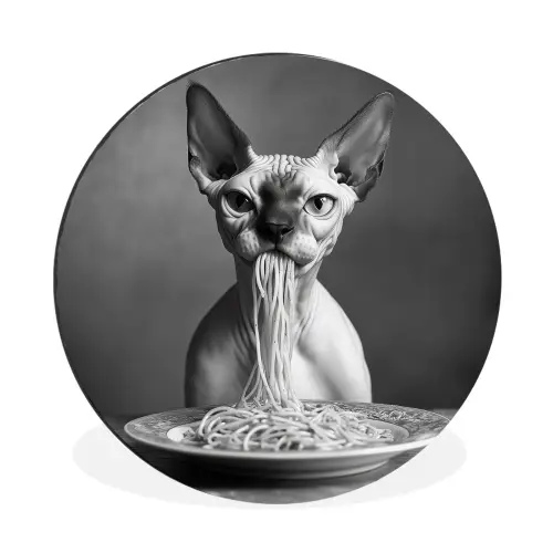 Sphynx - Kat - Dieren - Humor - Spaghetti - Zwart Wit Wandcirkel aluminium klein -3d