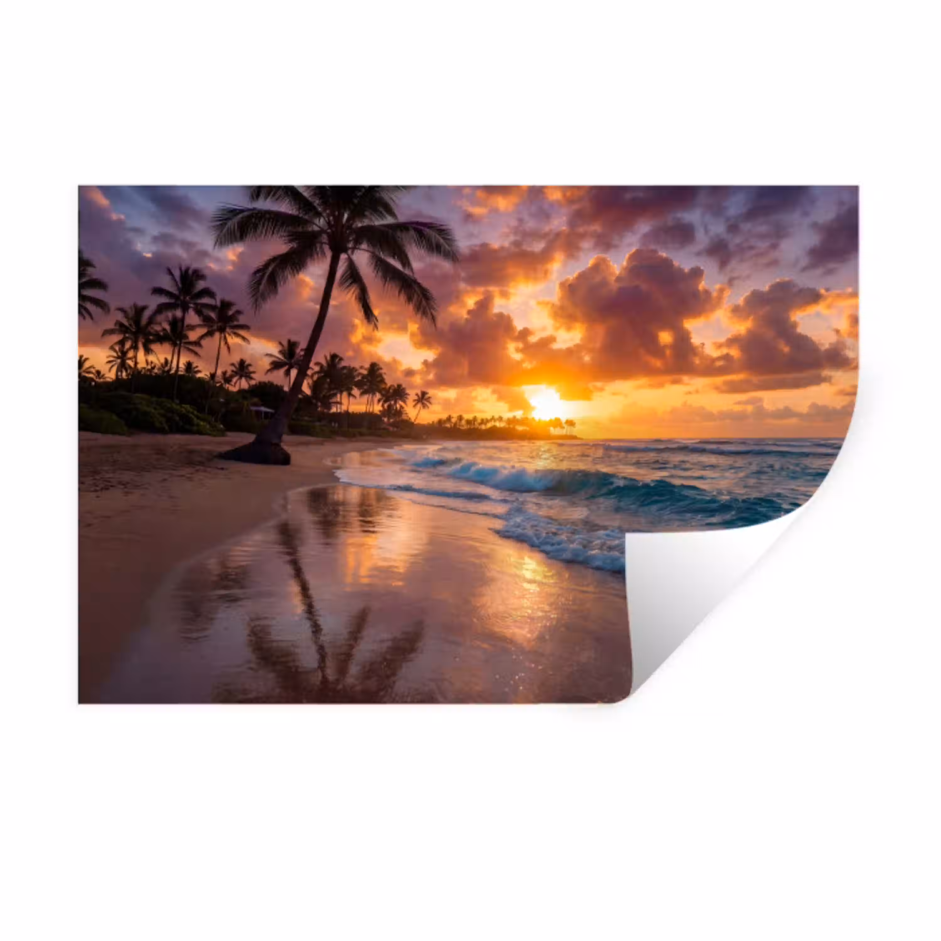 Strand - Zonsopgang - Tropisch - Natuur - Oranje Muursticker klein -3d