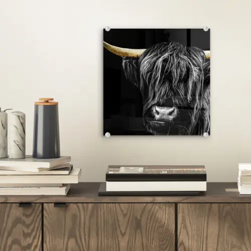 Schotse hooglander - Goud - Vacht - Dieren - Koe plexiglas 5mm klein -sfeer1