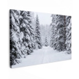 Bos - Winter - Sneeuw - Pad - Natuur canvas 2cm klein -z3d