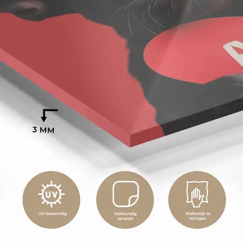 Amor - Hond  - Hartje - Rood plexiglas 5mm klein -sfeer2