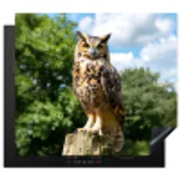 Uil - Boomstronk - Bos - Lucht Inductie beschermer vinyl 3mm middel -3d