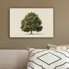 Eikenboom - Groen - Lichte achtergrond canvas 2cm klein -sfeer3