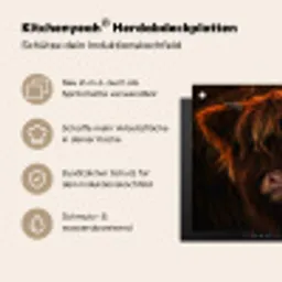 Vurige Manen Inductie beschermer vinyl 3mm middel -zzzzzzusp-haakje_DE