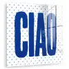 Ciao - Stippen - Roze - Wit plexiglas 5mm klein -zzzproduct_nieuw