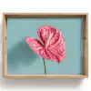 Blad - Anthurium - Stippen - Roze Dienblad Rechthoek middel -z3d_shopping