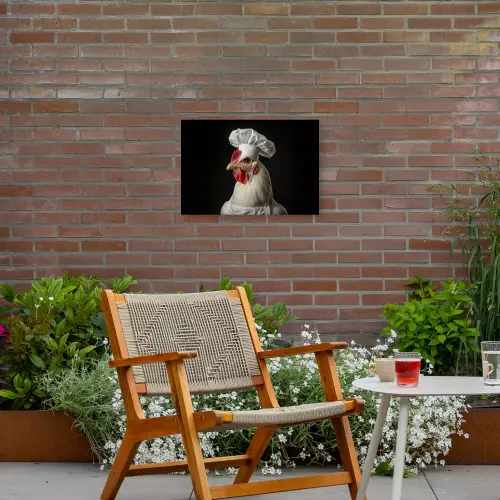 Kok - Rood - Kip Tuinposter op houten frame 2 cm dik klein -sfeer3