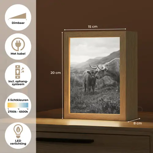 Schotse hooglander - Kalf - Zwart - Wit Light Box met kabel (Tafellamp) klein -USP_NL