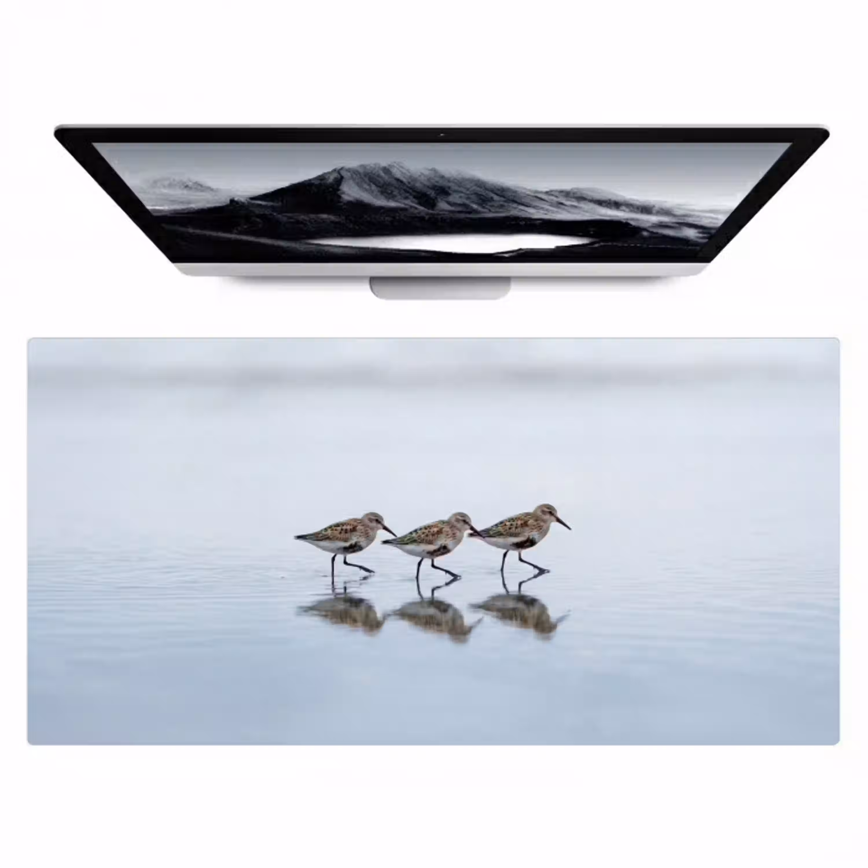 Vogels - Water - Grijs Muismat XXL klein -zzz3d