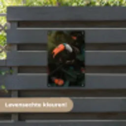 Toekan - Vogel - Jungle tuinposter los doek klein -sfeer3