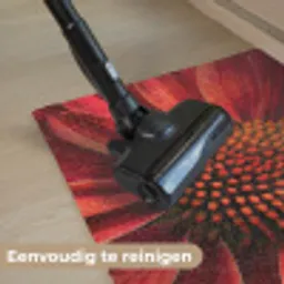 Close up - Bloem- Rood Deurmat klein -reinigen_NL