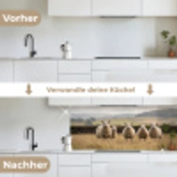 Schapen - Weidenlandschap - Heuvels keuken achterwand 2 middel -voor-na_DE